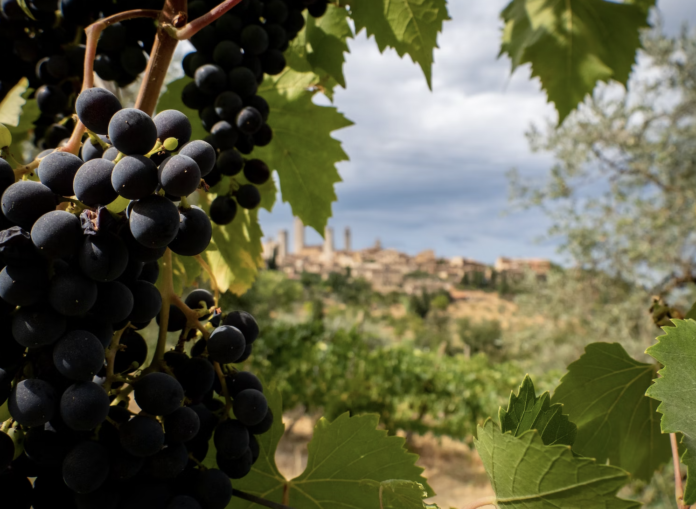 Italian Wine Ambassador Susannah Gold shares Oltrepo Pavese wines