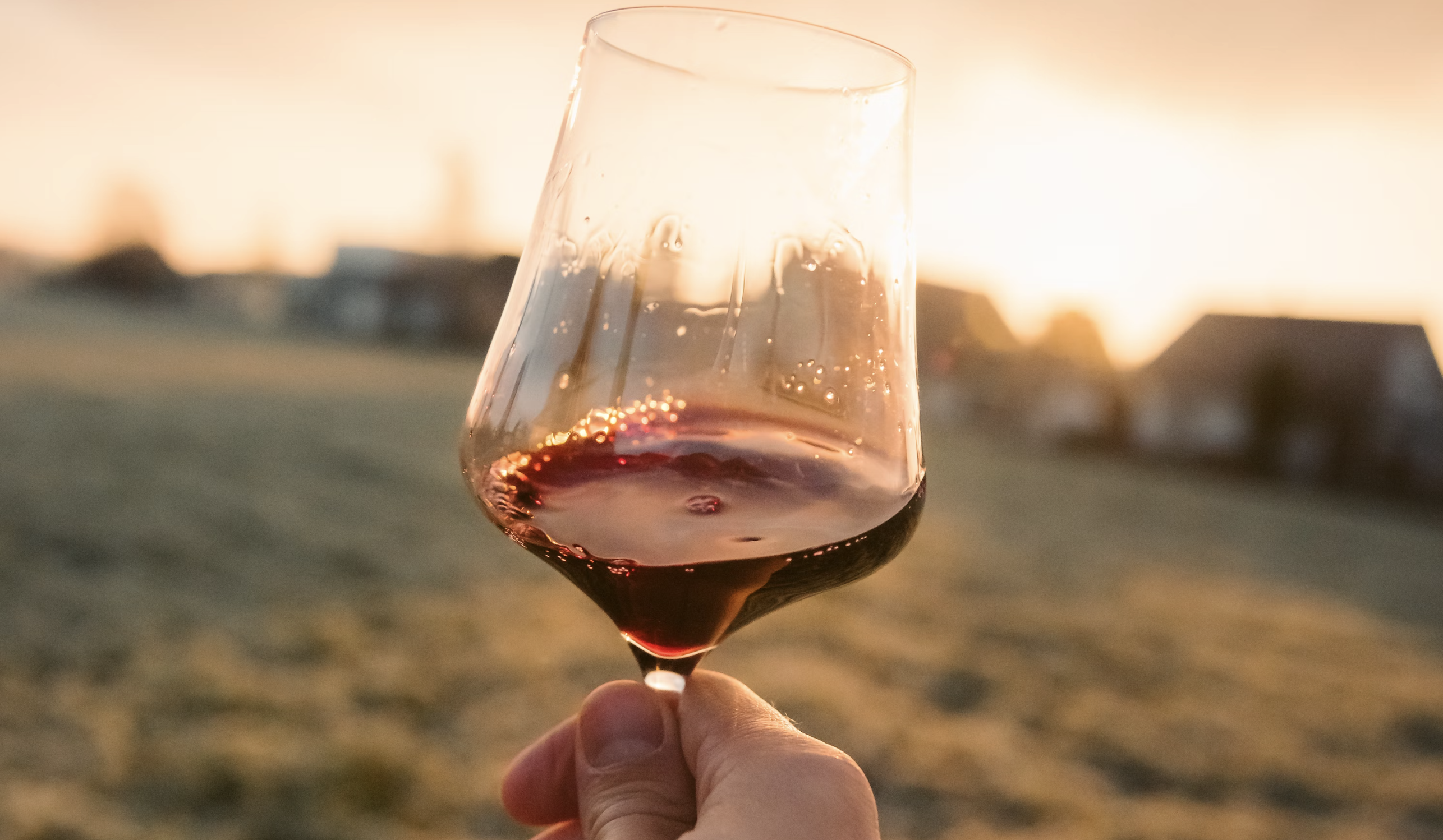 Sommelier Jaime Smith reveals the best wines for Springtime, treat yourself and save money.
