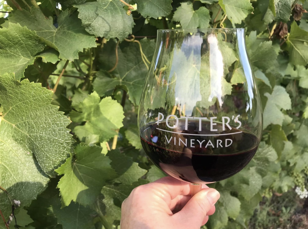 PacNW Wine: Newberg Oregon’s Vino Vasai Pours World-Class Pinot Noir, Super Tuscan with Unique Tasting Experience - Wine Review