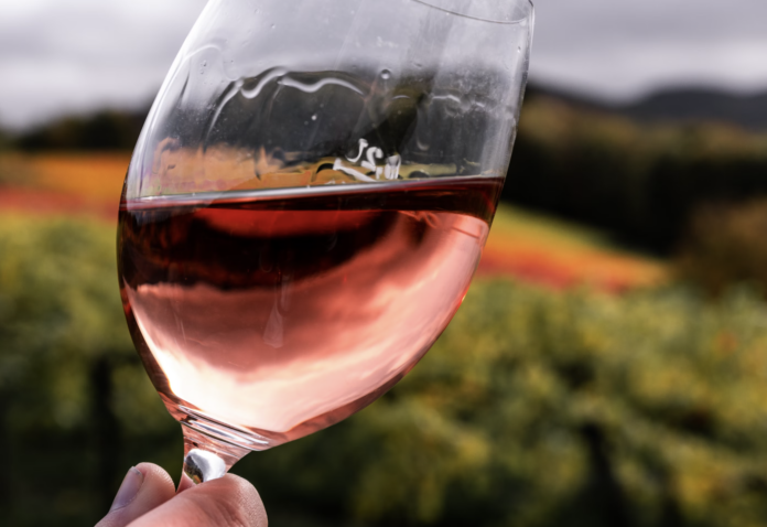 Eila Wines Shows Willamette's Intense, Complex Taste - Wine Review
